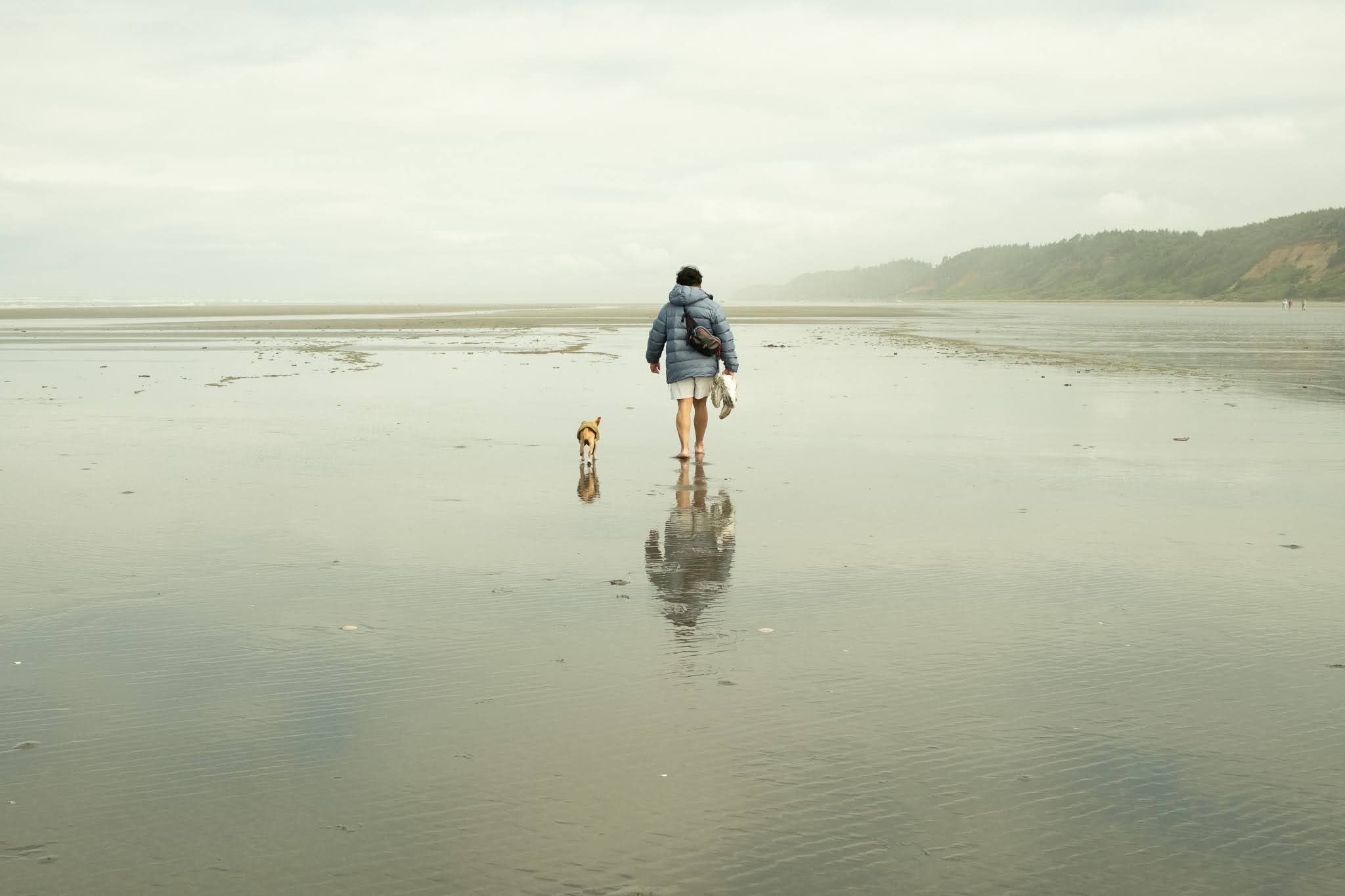 Low Tide Walk